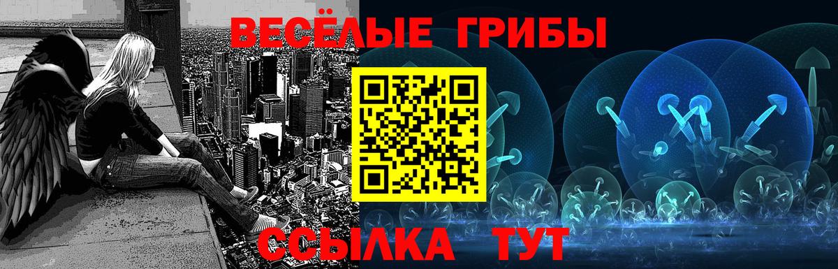 Псилоцибиновые грибы Psilocybine cubensis Гатчина